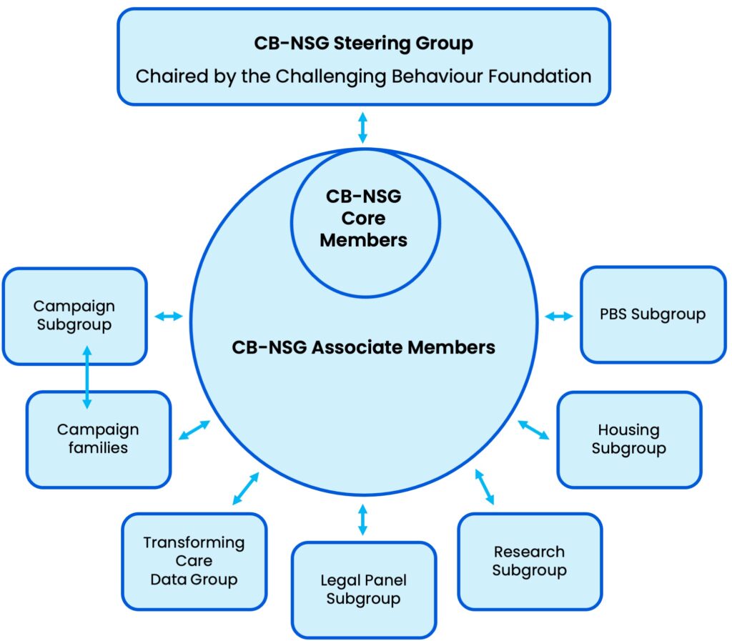 CB-NSG diagram showing relationship between steering group, members and sub-groups