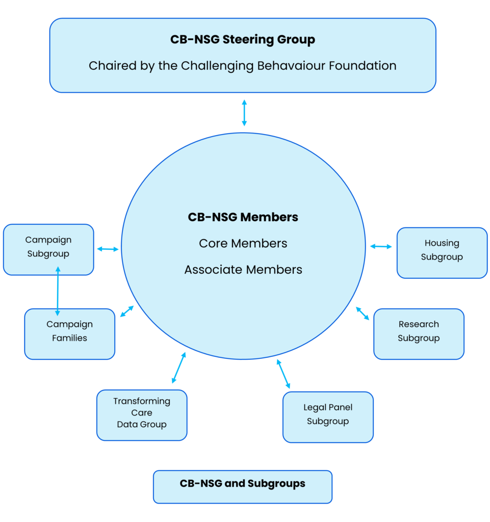 CB-NSG diagram showing relationship between steering group, members and sub-groups