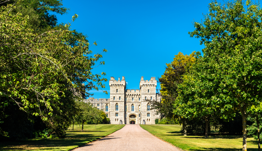 Parallel Windsor