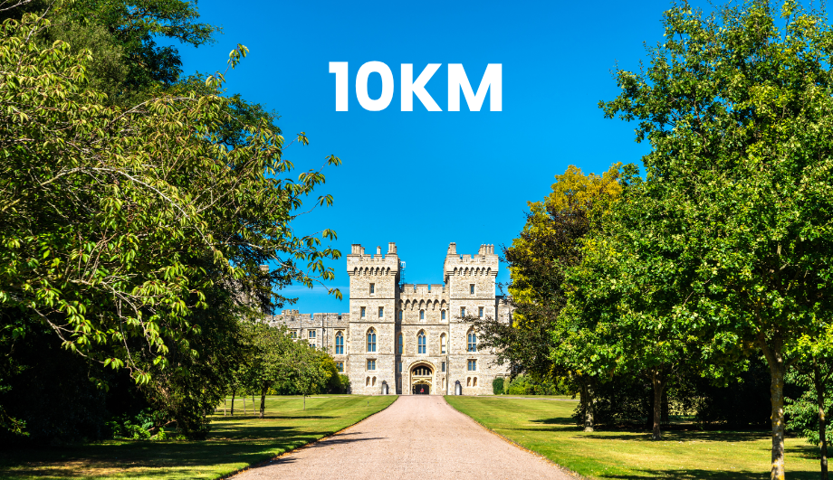 Parallel Windsor 10K